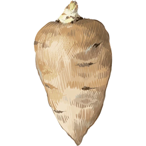 Aardappelen & aardperen