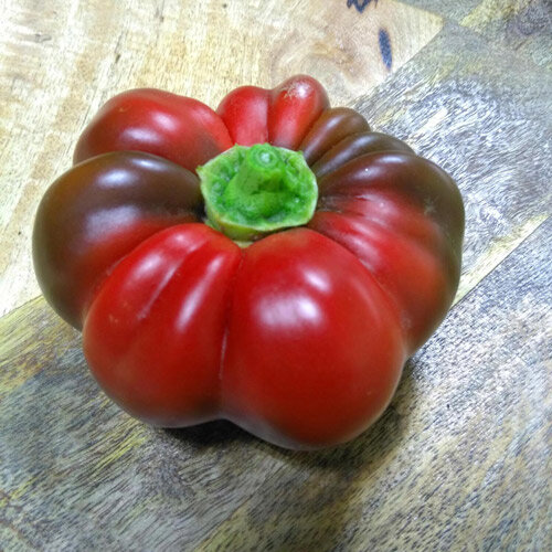 Rode, geribde tomaatpaprika op een houten tafel