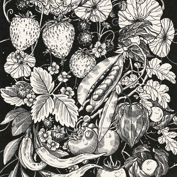 Zwart-witte illustratie met aardbeien, erwtenpeulen, chilipepers, physalis en tomaten
