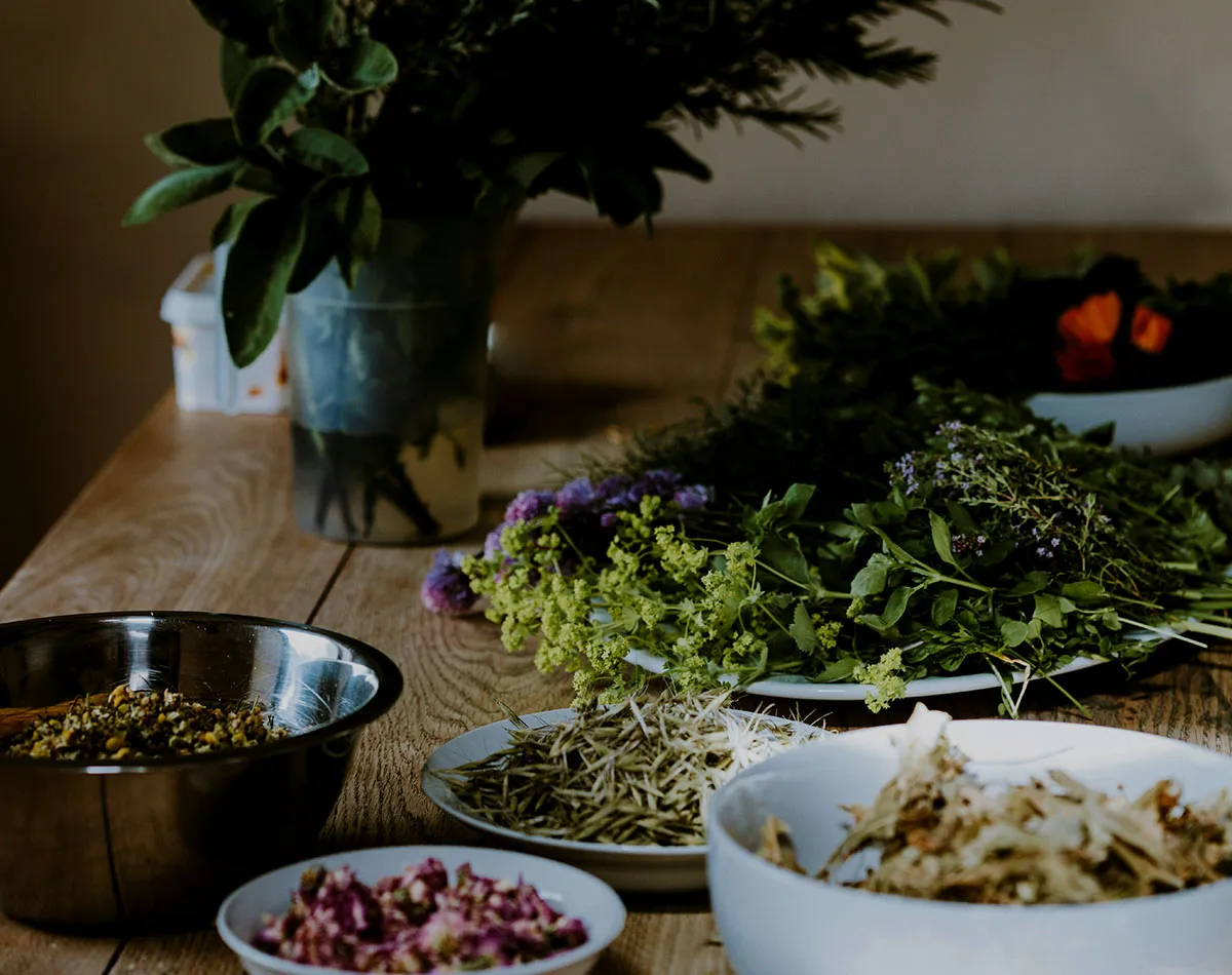 Geneeskrachtige planten van de homeopathie