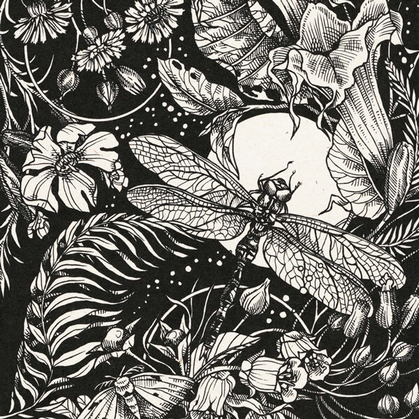 Zwart-witte illustratie: libel voor de volle maan tussen bloemen, varens en een nachtvlinder
