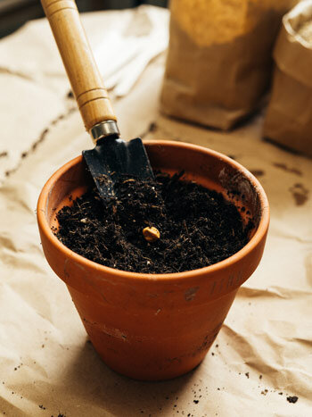 Terracotta pot met donkere aarde en een klein plantschepje