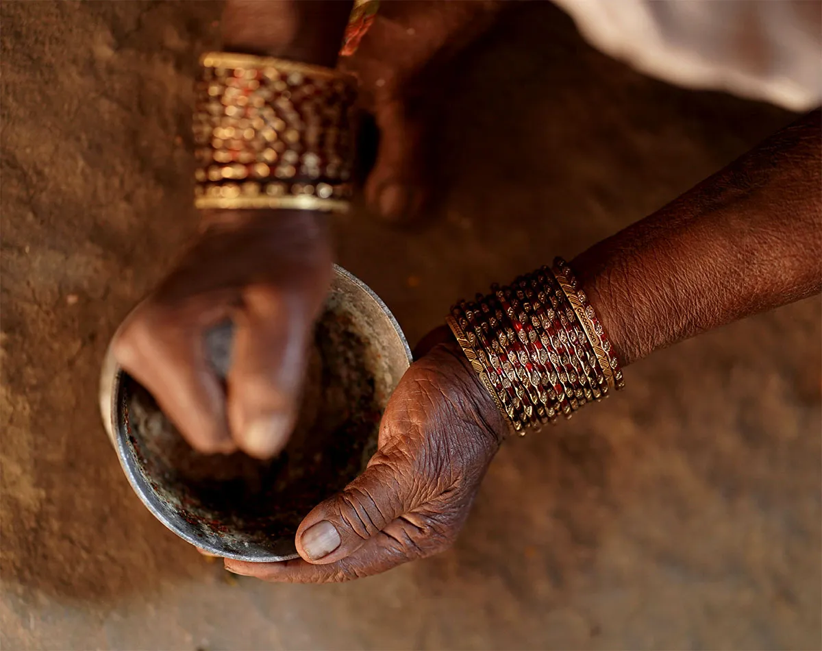 Ayurvedische planten