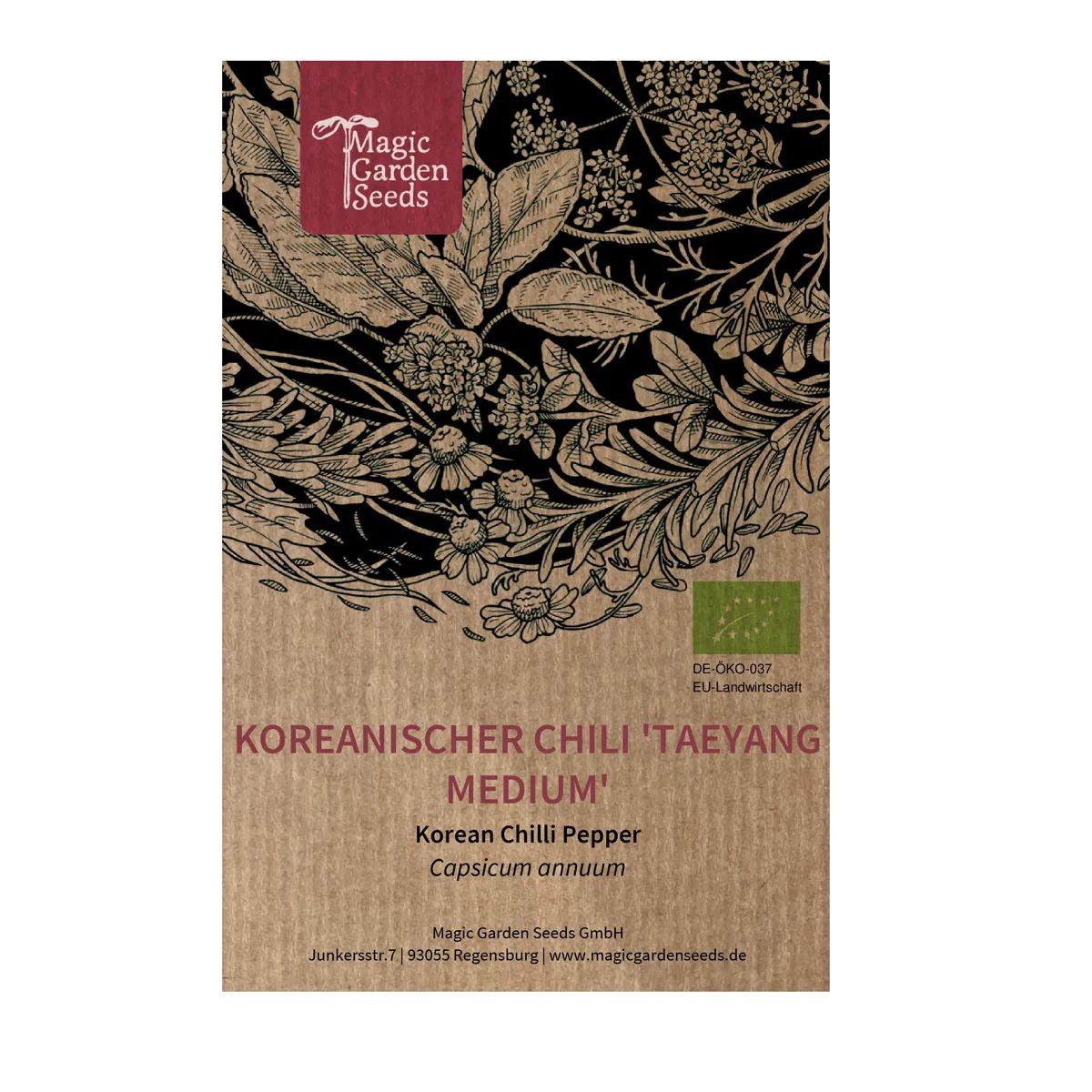 Koreanischer Chili 'Taeyang Medium' (Capsicum annuum) Bio-Saatgut