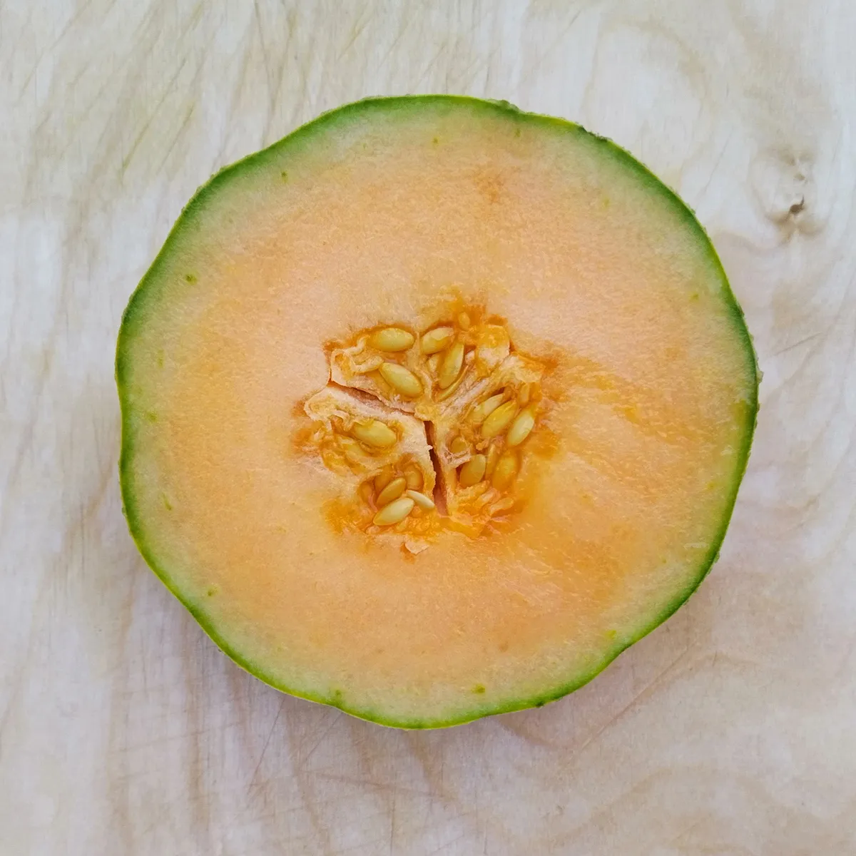 Netzmelone 'Petit gris de Rennes' (Cucumis melo) Bio-Saatgut