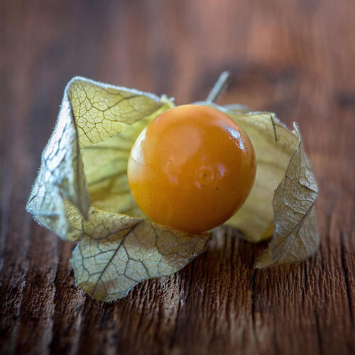 Rijpe physalis (goudbes) in het opengevouwen, droge vliesje