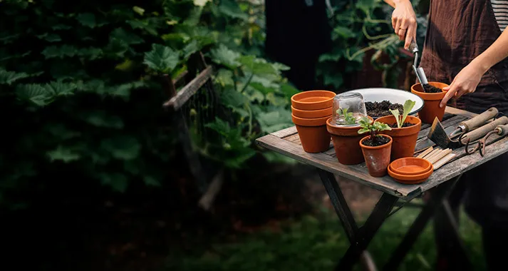 Tuintafel met terracotta potten en jonge planten tijdens het verpotten