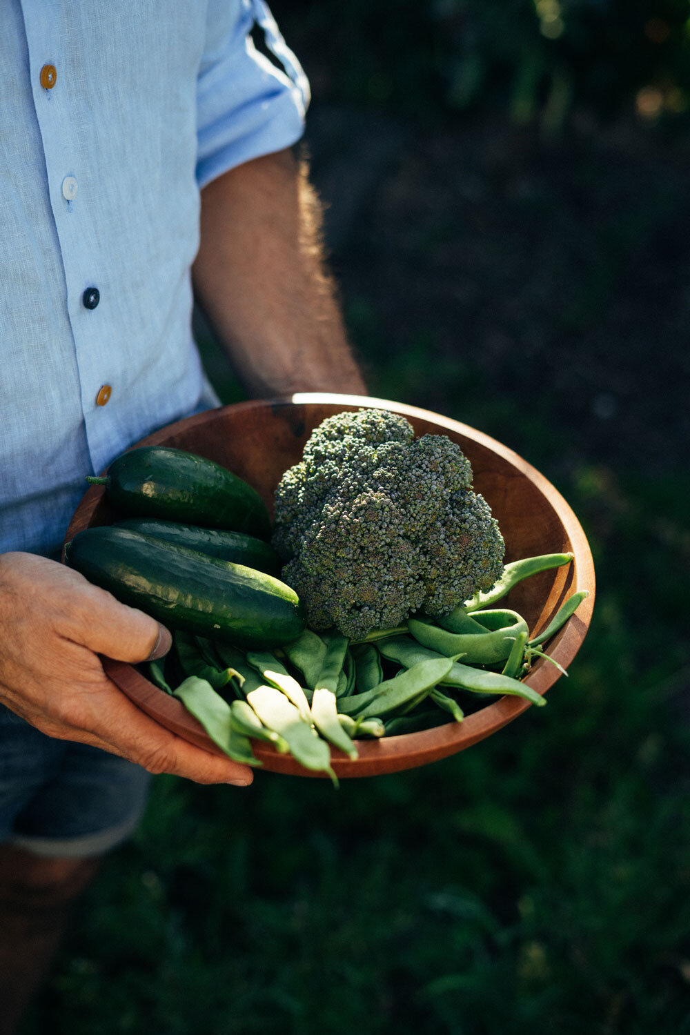 Houten schaal met vers geoogste broccoli, komkommers en sperziebonen in handen van een tuinier