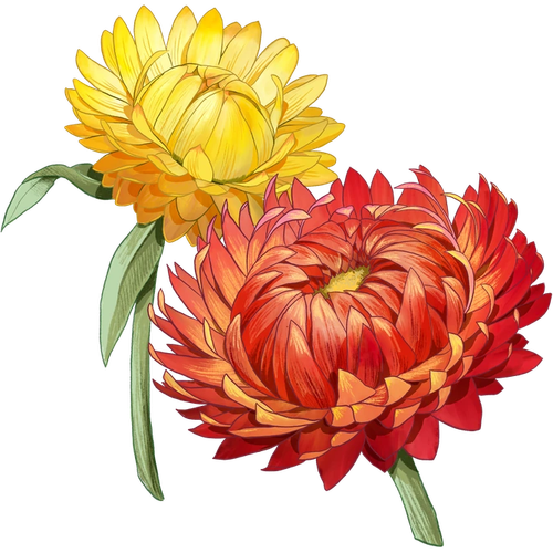 Strobloemen