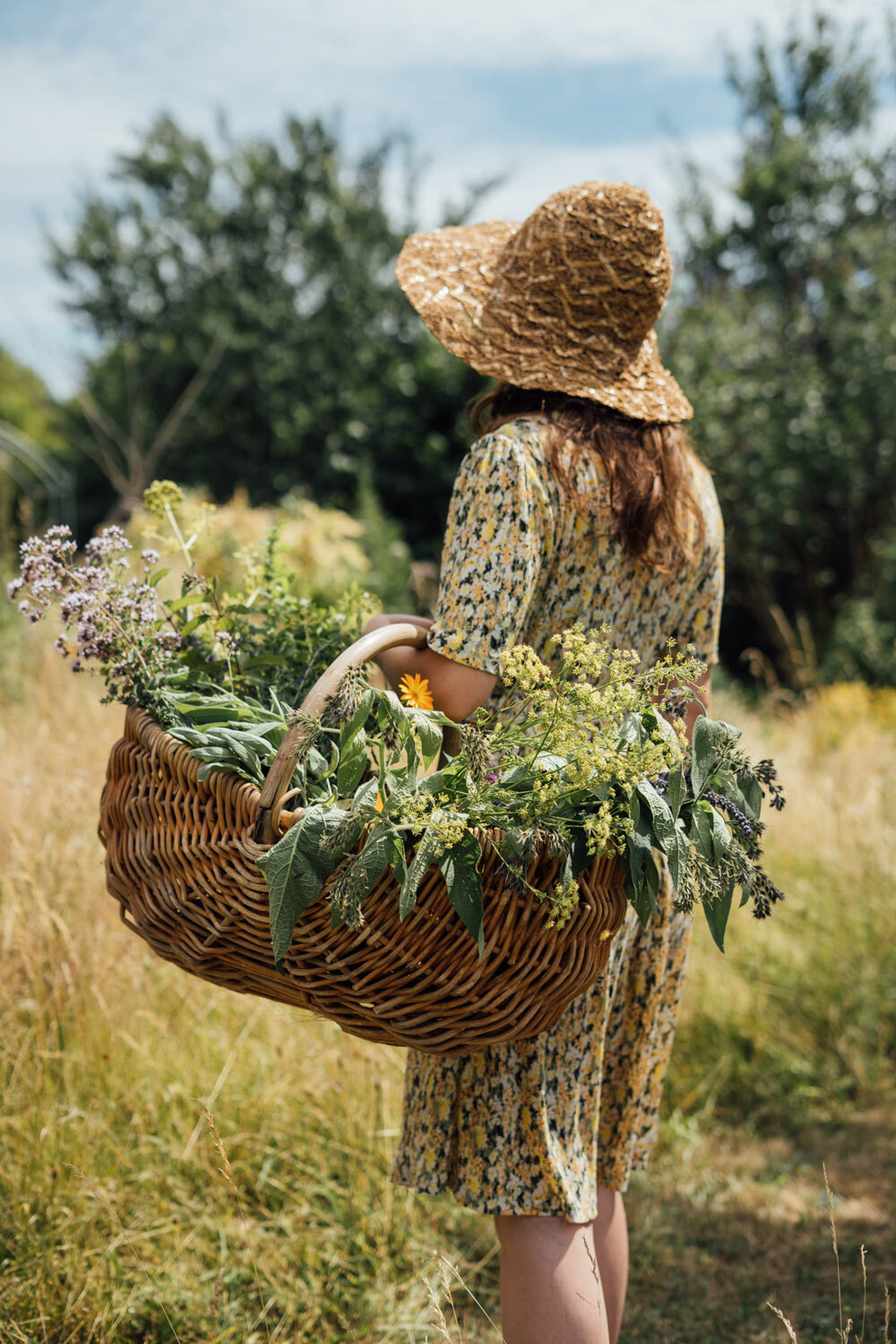 Vrouw met strohoed draagt een wilgenmand vol vers geplukte kruiden en bloemen