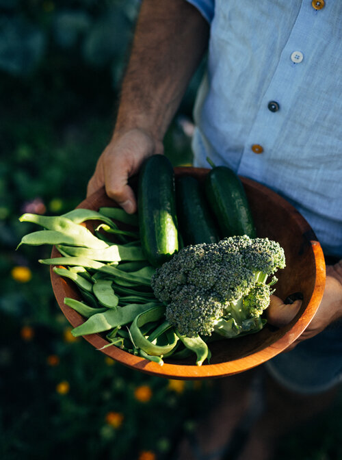 Houten schaal met vers geoogste zomergroenten: platte sperziebonen, courgettes en broccoli