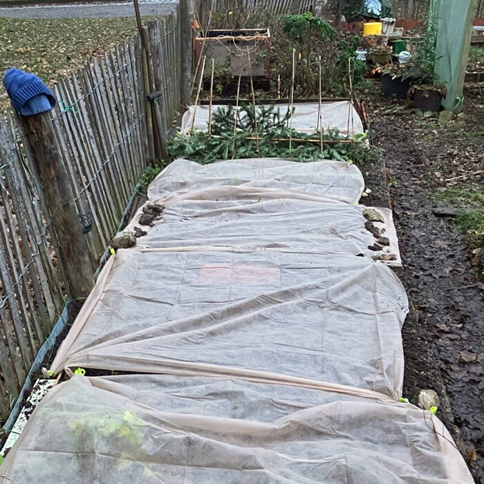 Groentebed in de winter, afgedekt met vliesdoek tegen de kou