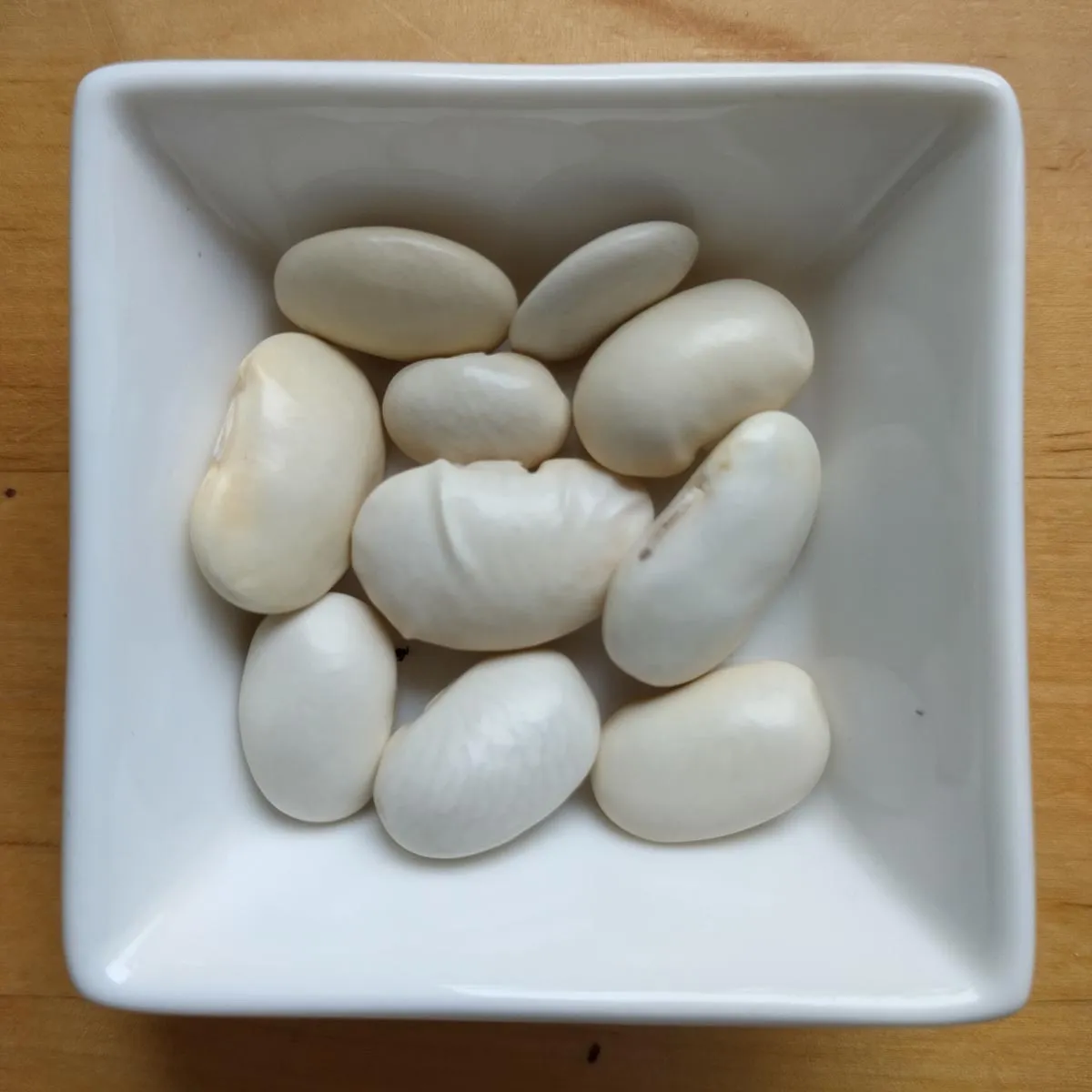 Griechische Riesenbohnen 'Gigantes' (Phaseolus coccineus) Samen