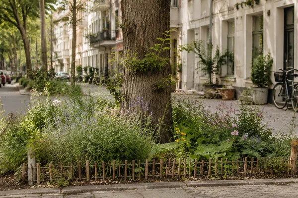 Beplante boomspiegel in een stadsstraat