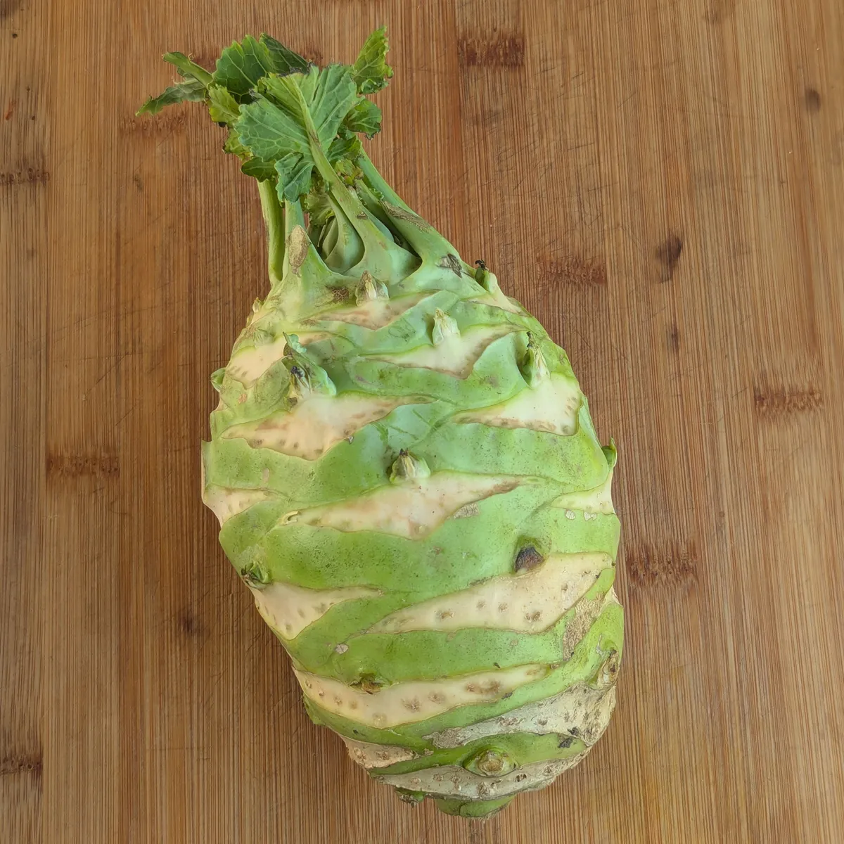 Kohlrabi 'Superschmelz' (Brassica oleracea var. gongylodes) Samen