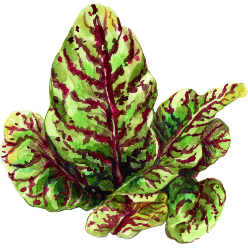 Bladgroente