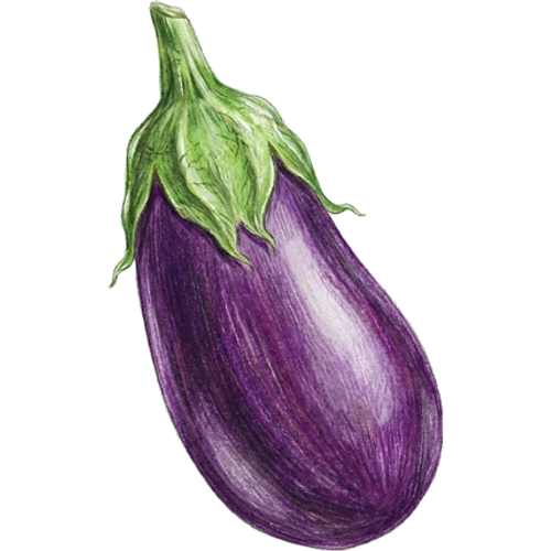Aubergines