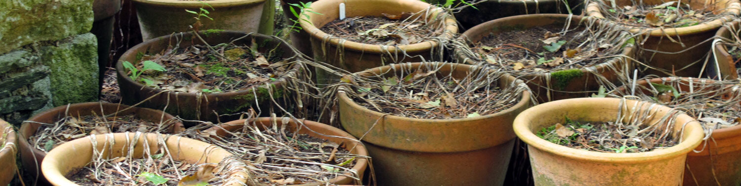 Lege bloempotten wachten op nieuwe planten