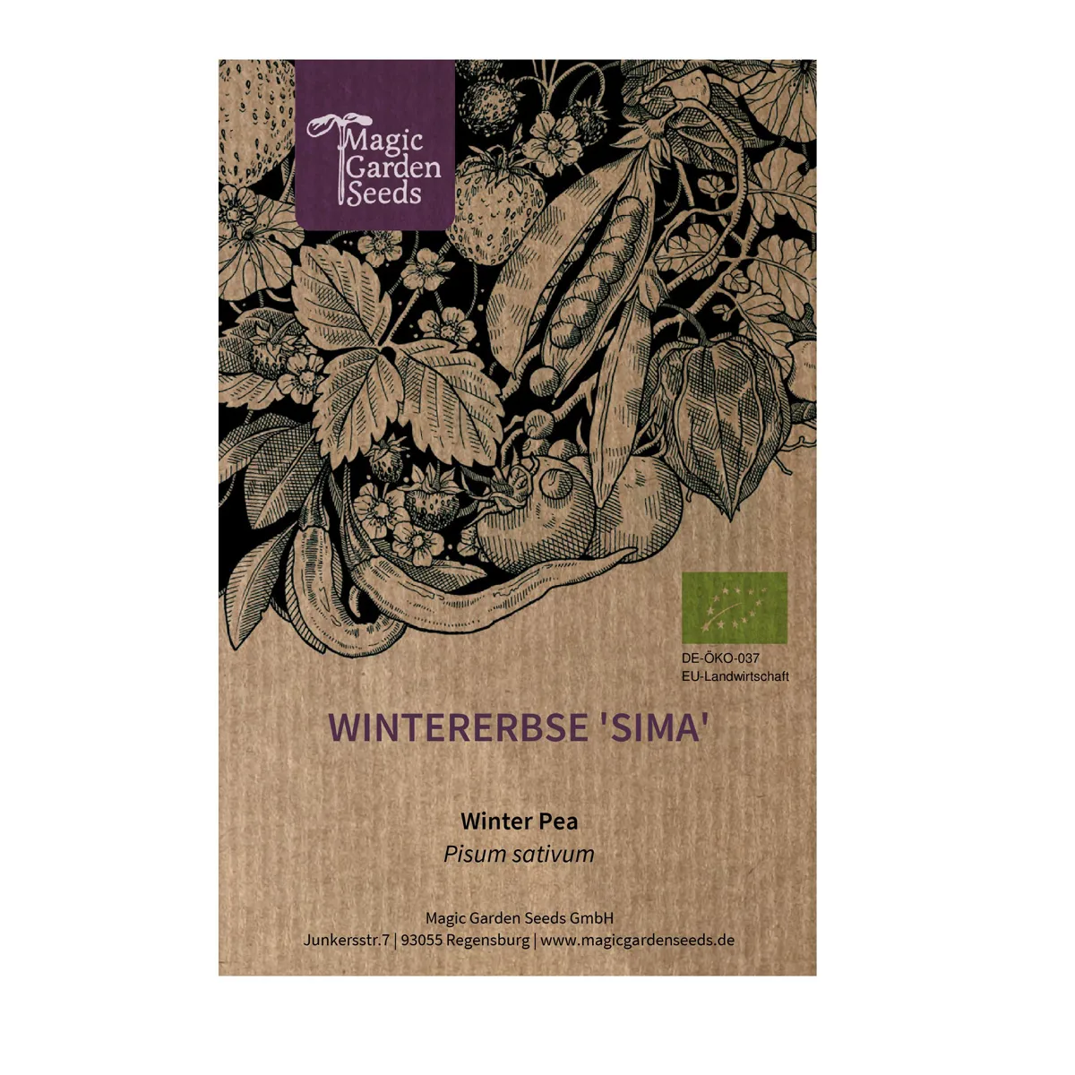 Wintererbse 'Sima' (Pisum sativum) Bio