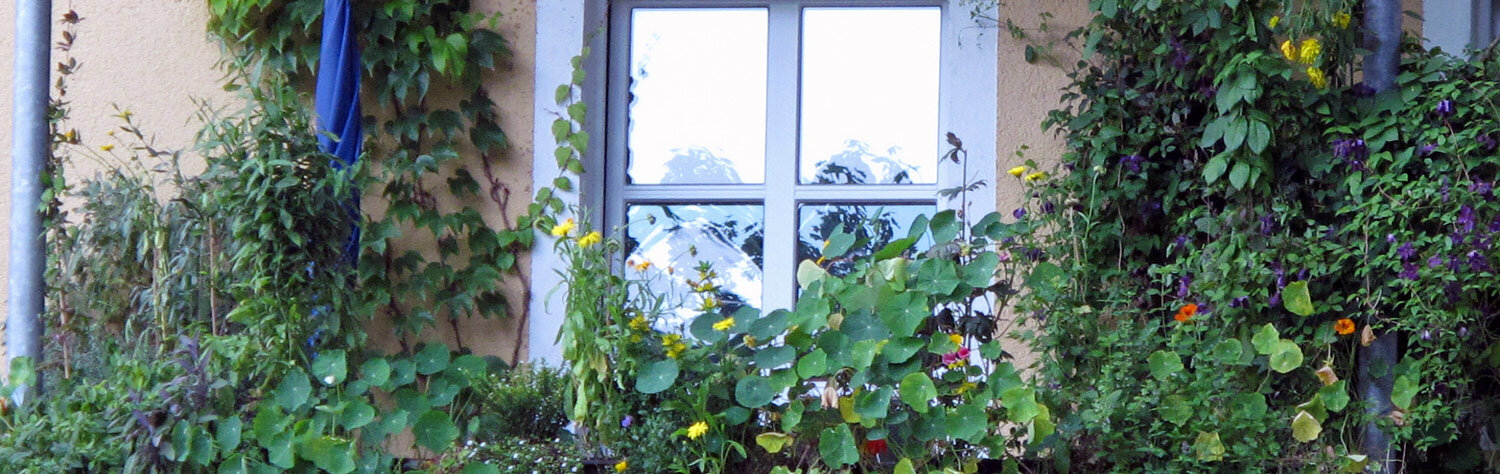 Stedelijke wildernis op het balkon