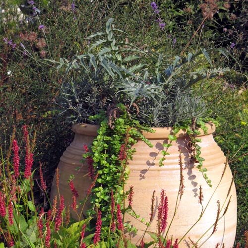 Grote terracotta amfora met zilverige kruiden en hangplanten in een bloeiende border