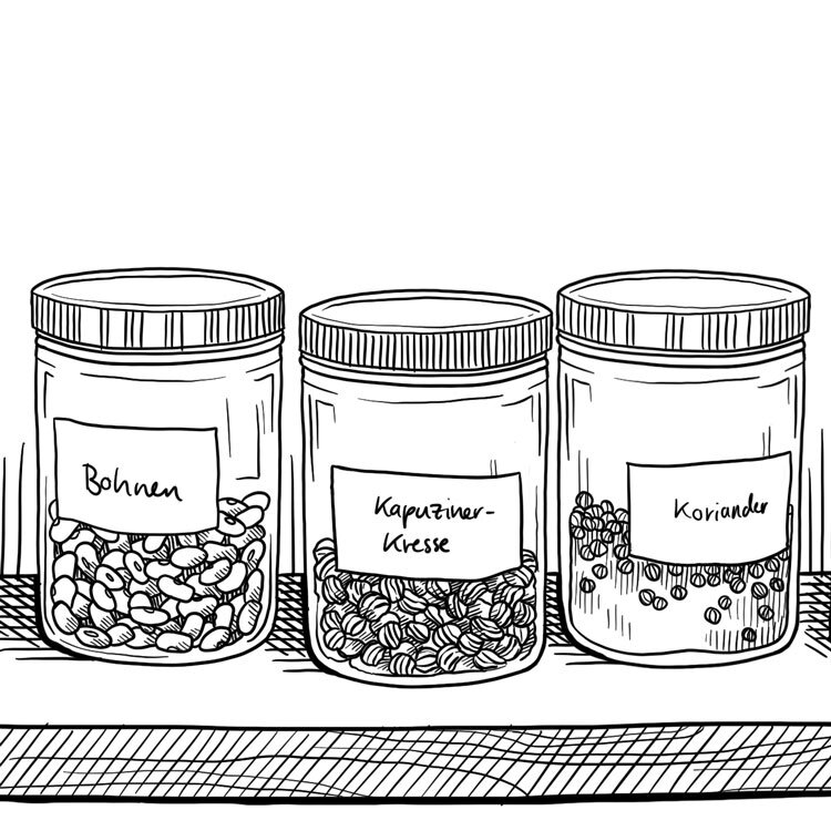 Tekening: zaden in geëtiketteerde potten met bonen, Oost-Indische kers en koriander op een plank