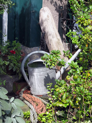 Gieter om de tuin water te geven