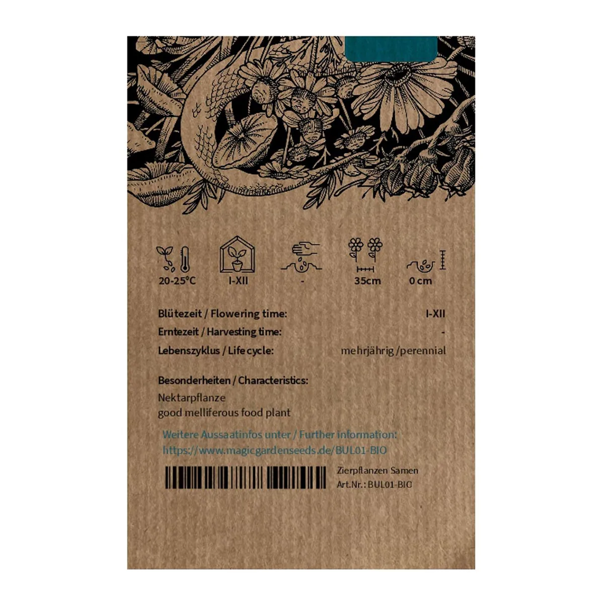 Bulbine / Katzenschwanzpflanze (Bulbine frutescens) Bio Saatgut
