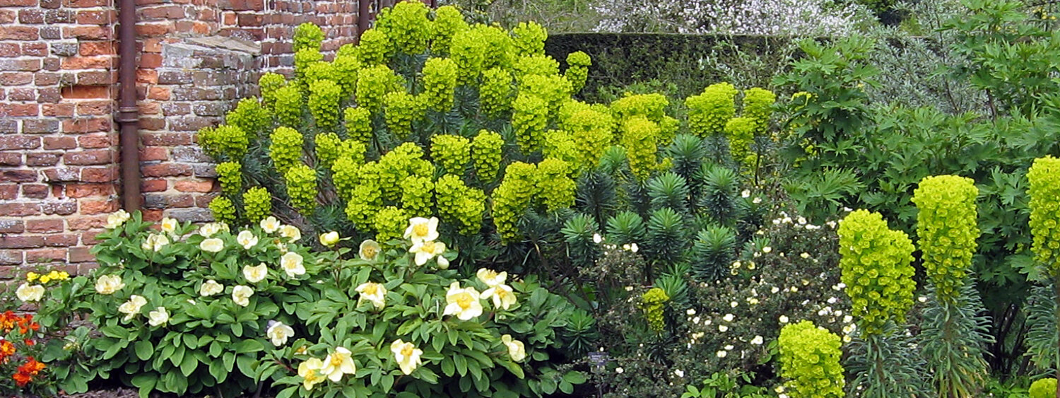 Border met vaste planten in Sissinghurst