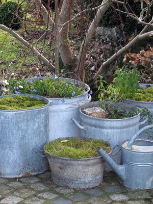 Oude zinken teilen en emmers als plantenbakken met mos en voorjaarsbloemen, ernaast een gieter
