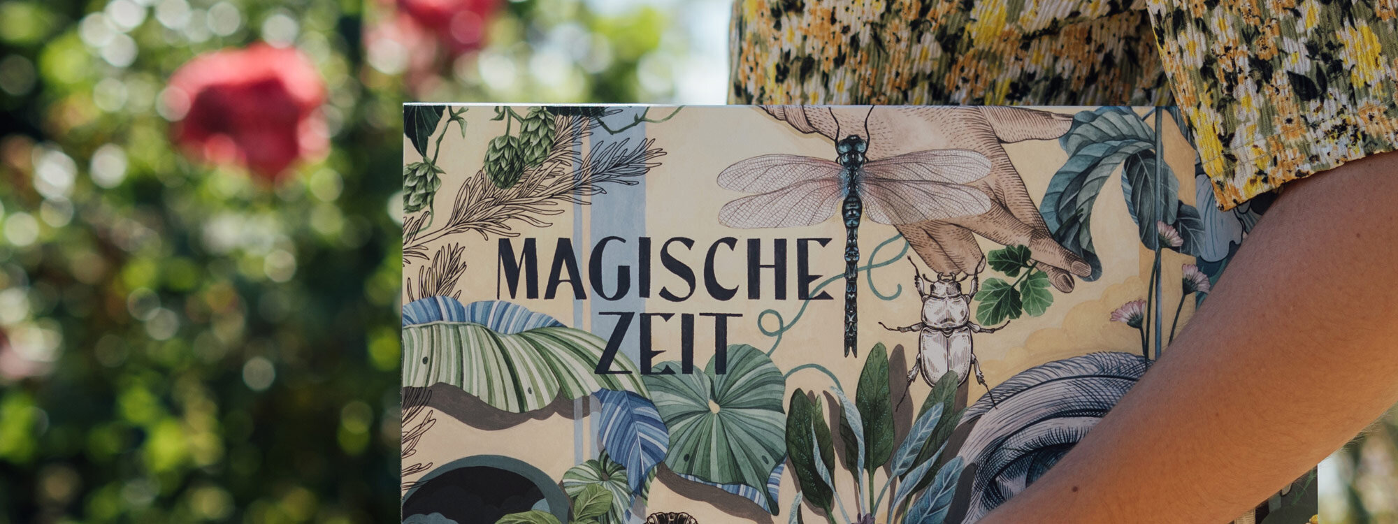 Doos van de biologische zaad-adventskalender „Magische tijd” Wonderbaarlijke wereld van kruiden met libel en kever