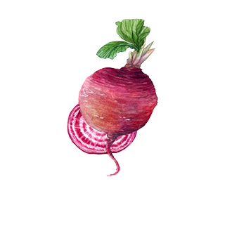 Groentezaden