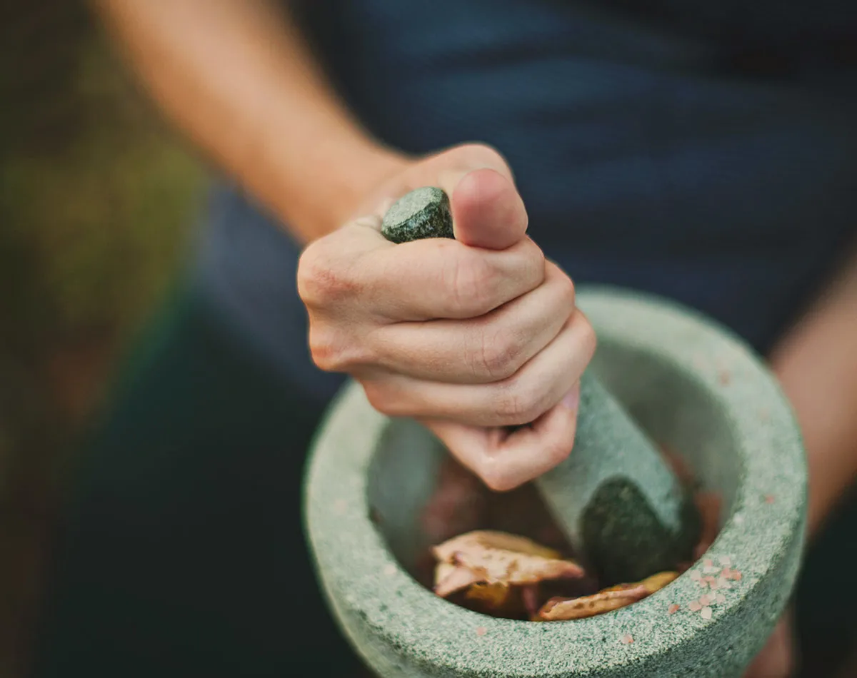 TCM-geneeskrachtige planten