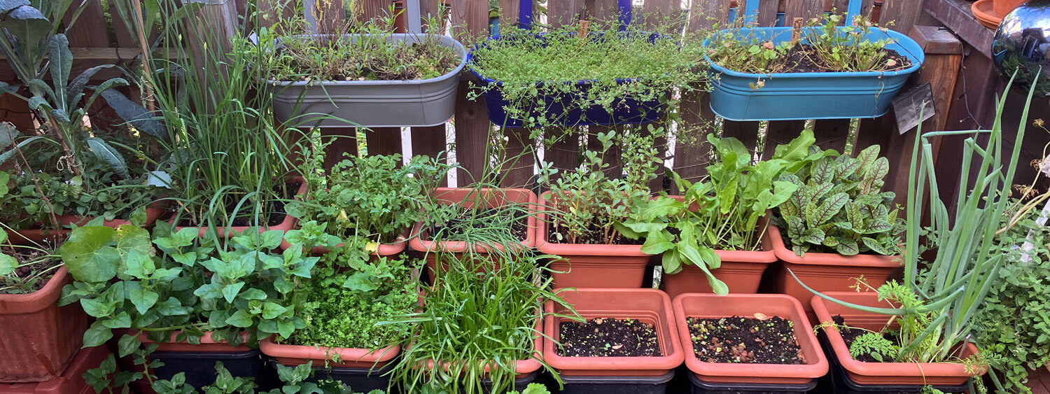 Balkon met veel beplante balkonbakken en potten vol kruiden en jonge planten