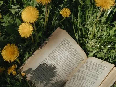 zum Nachlesen