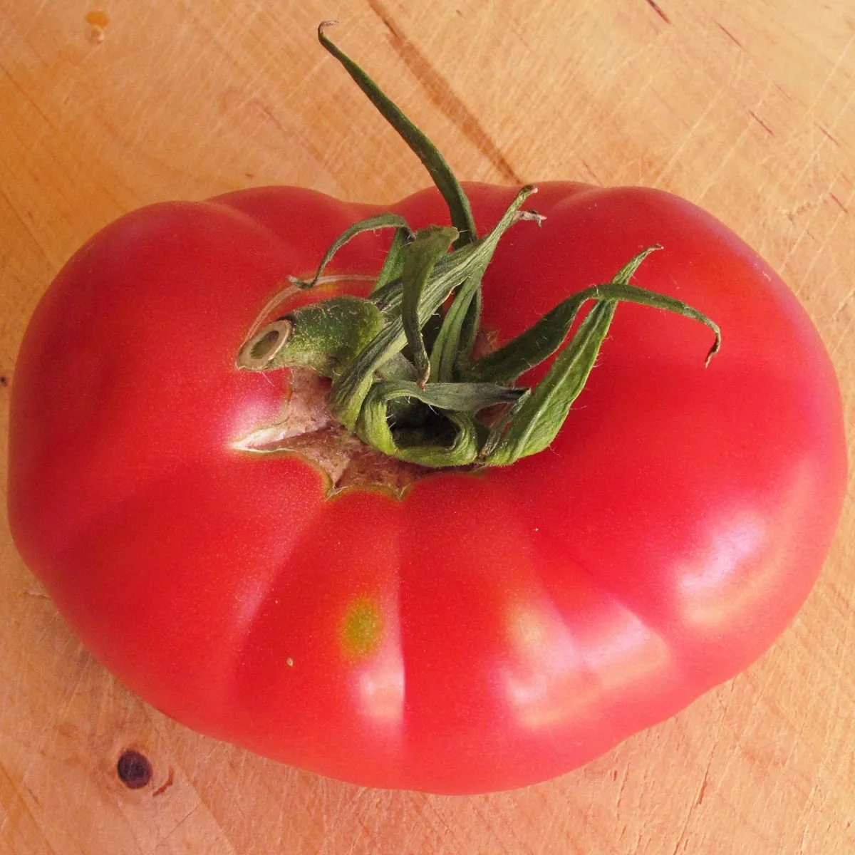 Tomate 'Berner Rose' (Solanum lycopersicum) Samen