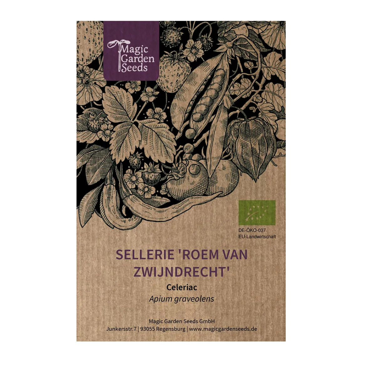 Knollensellerie 'Roem van Zwijndrecht' (Apium graveolens) Bio