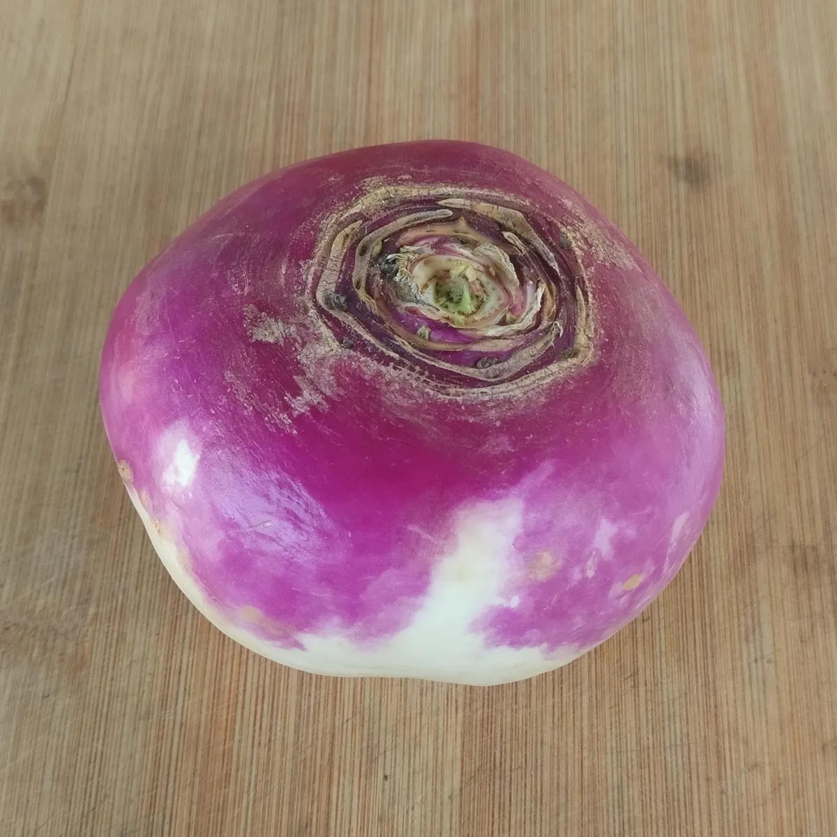 Herbstrüben 'Runde, Weiße, Rotköpfige' (Brassica rapa ssp. rapa) Samen