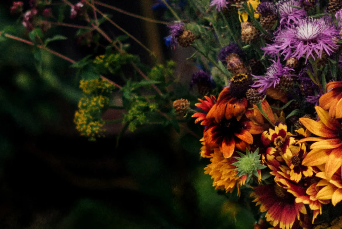 Kleurrijk boeket van zonnehoed, knoopkruid en wilde bloemen