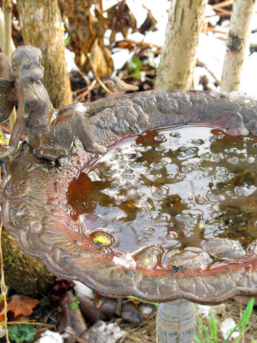 Versierd vogelbad met beeldje en water in de wintertuin