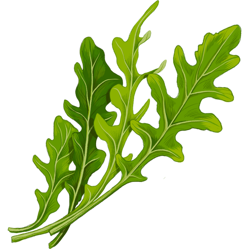 Sla
