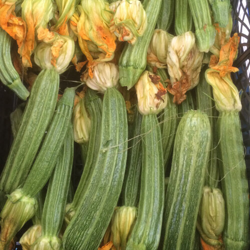 Vers geoogste, lichtgroen gestreepte courgettes met bloemen
