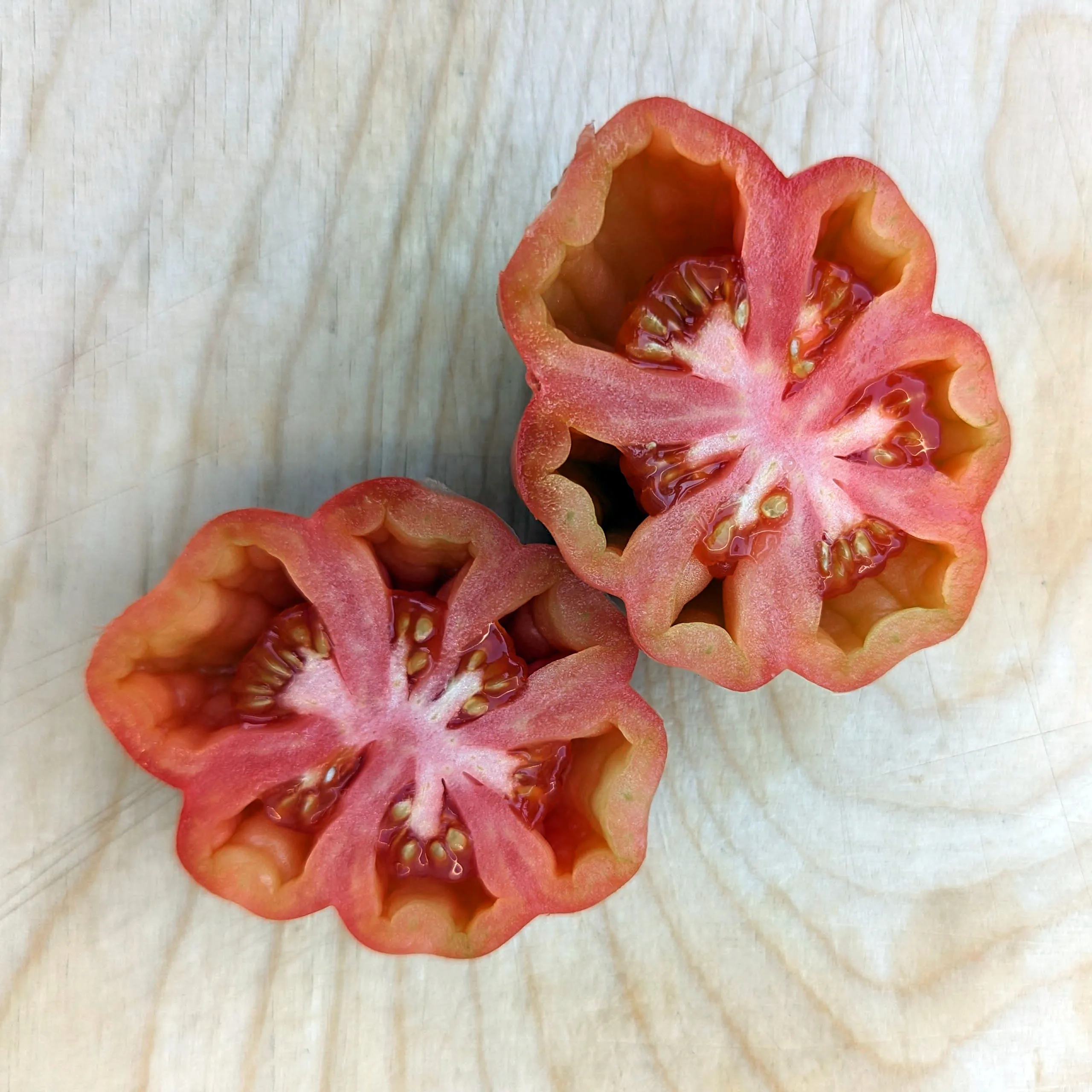 Gestreifte Fleischtomate 'Striped Stuffer' (Solanum lycopersicum) Samen