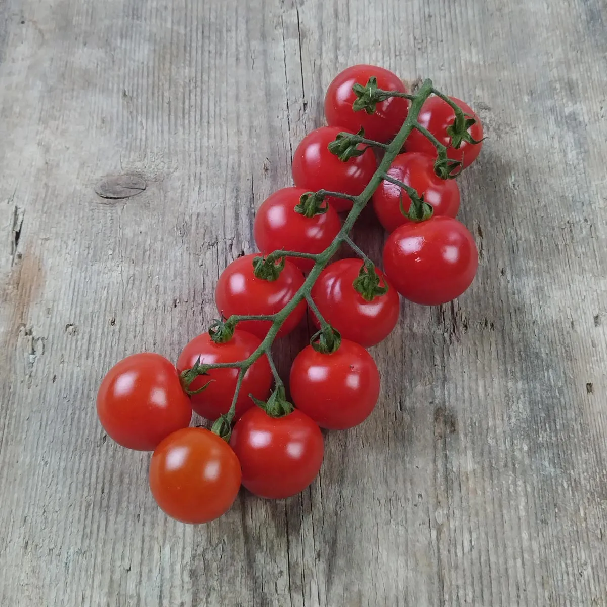 Cherrytomate 'Red Bell' (Solanum lycopersicum) Samen
