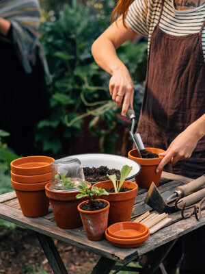 Voorzaaien voor de tuin
