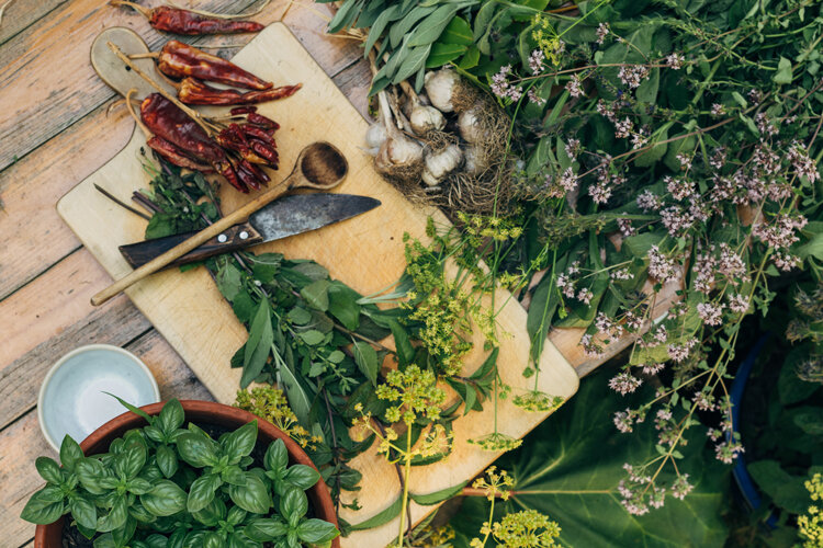 Verse kruiden, knoflook en gedroogde pepers op een houten plank, ernaast basilicum in een pot
