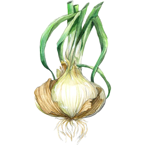 Uien