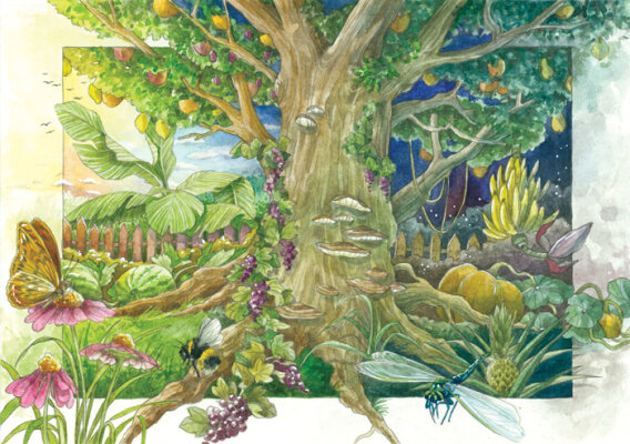 Onze magische tuin - Magic Garden Seeds - Een magische fantasietuin