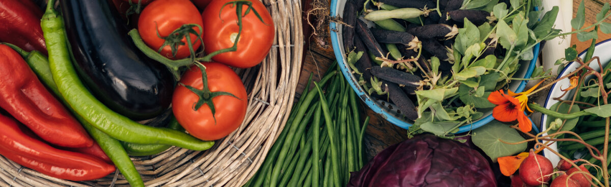 Groenten bewaren – een overzicht van de beste methoden - Groenten bewaren – een overzicht van de beste methoden