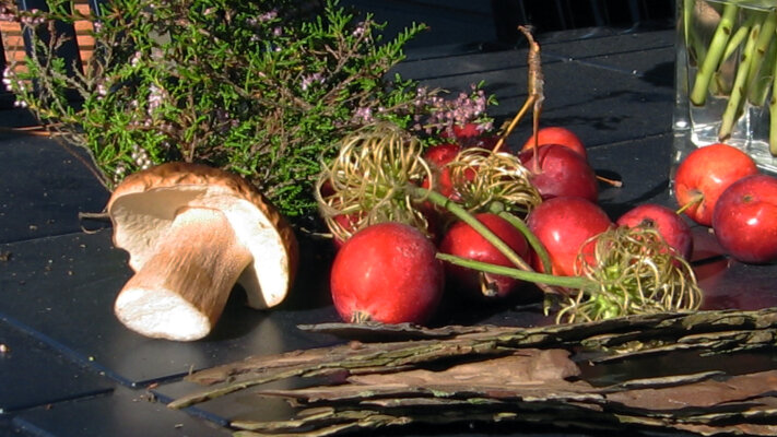 Oudewijvenzomer – een gouden nasleep van de zomer - Altweibersommer, oudewijvenzomer: betekenis, oorsprong en Europese termen